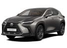 Ворсовые коврики на Lexus NX II 2021 - 2025 в Нижнем Тагиле