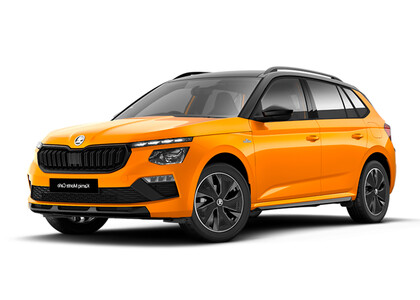 Ворсовые коврики на Skoda Kamiq 2019&nbsp;-&nbsp;2026 в Нижнем Тагиле