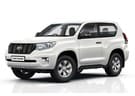 Ворсовые коврики на Toyota Land Cruiser Prado 150 2009 - 2023 в Нижнем Тагиле