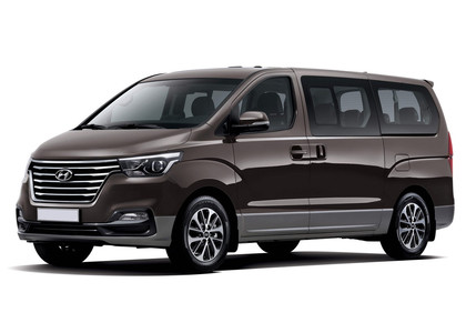 Ворсовые коврики на Hyundai H1 II 2007 - 2022 в Нижнем Тагиле