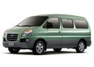 Ворсовые коврики на Hyundai Starex 1996 - 2007 в Нижнем Тагиле