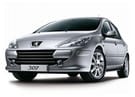 Ворсовые коврики на Peugeot 307 2001 - 2008 в Нижнем Тагиле