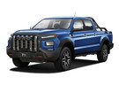 Ворсовые коврики на JAC T9 2021 - 2025 в Нижнем Тагиле
