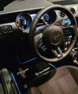 Коврики на Ford Mustang VI 2013&nbsp;-&nbsp;2023 в Нижнем Тагиле