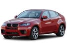 Ворсовые коврики на BMW X6 (E71/E72) 2008 - 2014 в Нижнем Тагиле