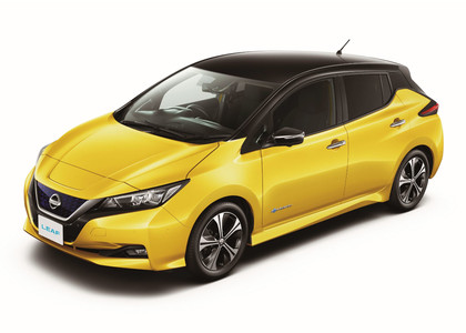 Ворсовые коврики на Nissan Leaf (ZE1) 2017 - 2025 в Нижнем Тагиле