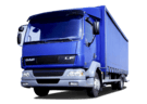 Ворсовые коврики на DAF LF 2001 - 2025 в Нижнем Тагиле