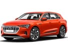 Ворсовые коврики на Audi Q8 e-tron 2022 - 2025 в Нижнем Тагиле