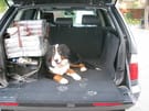 Ворсовые коврики на BMW X5 (E53) 1999 - 2006 в Нижнем Тагиле